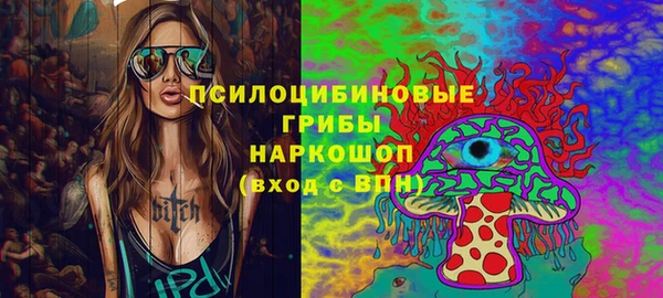 индика Аркадак