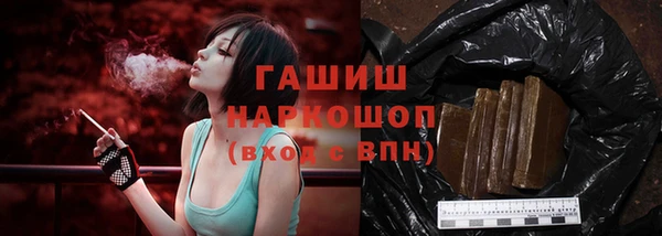 индика Аркадак