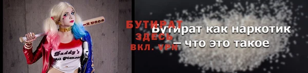 индика Аркадак