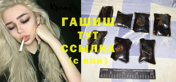 индика Аркадак