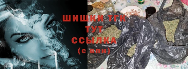 индика Аркадак
