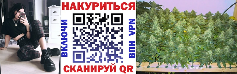 Конопля SATIVA & INDICA  blacksprut маркетплейс  Венёв  дарнет шоп 